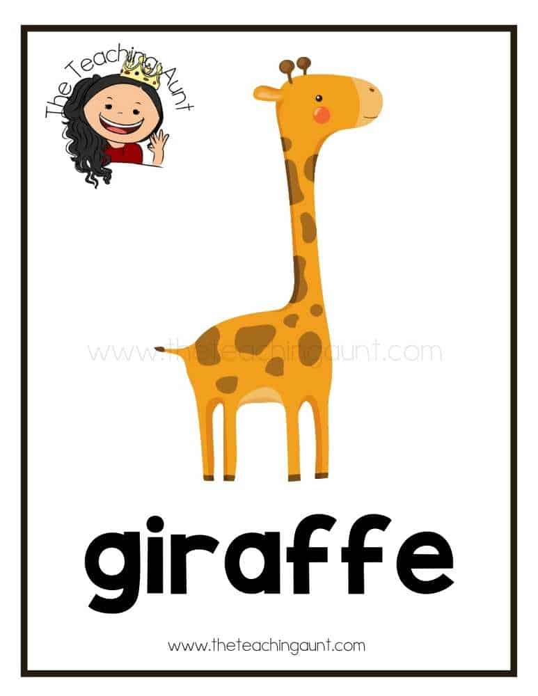 giraffe flashcard