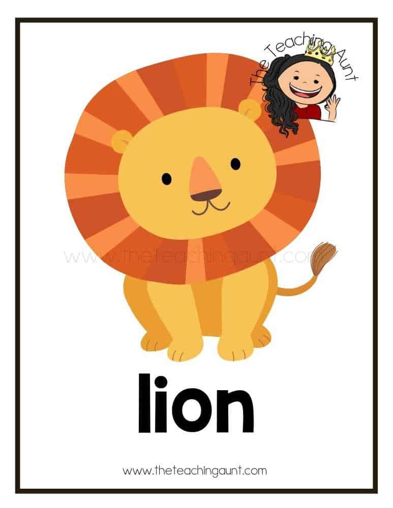 lion flashcard