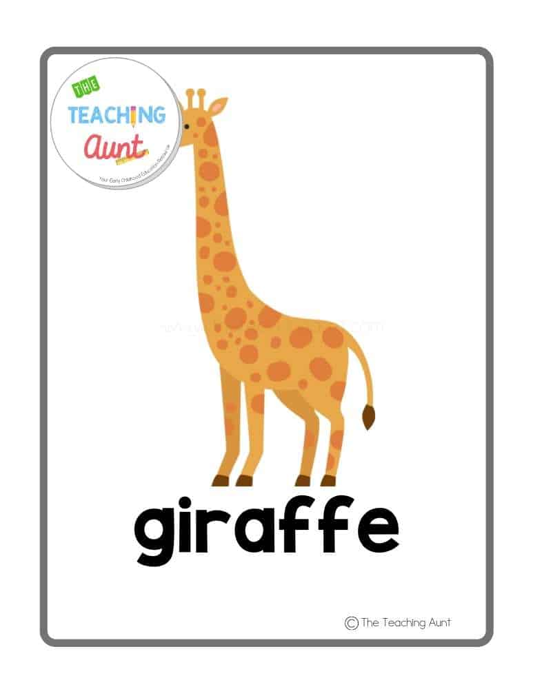 giraffe Free Wild Animals Flashcards