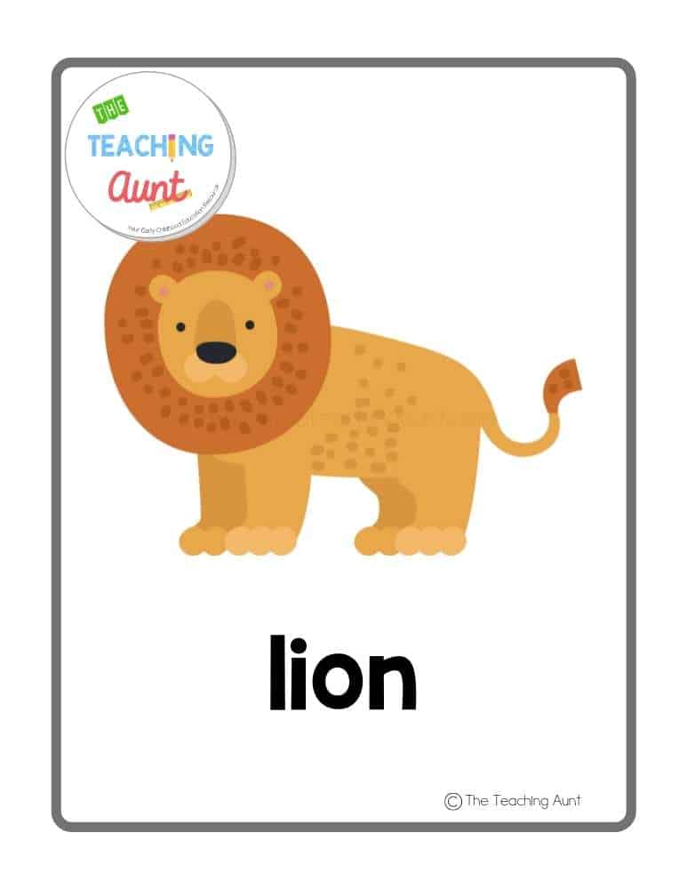 lion Free Wild Animals Flashcards
