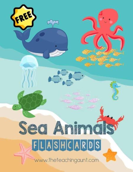 Sea Animals Flashcards PDF