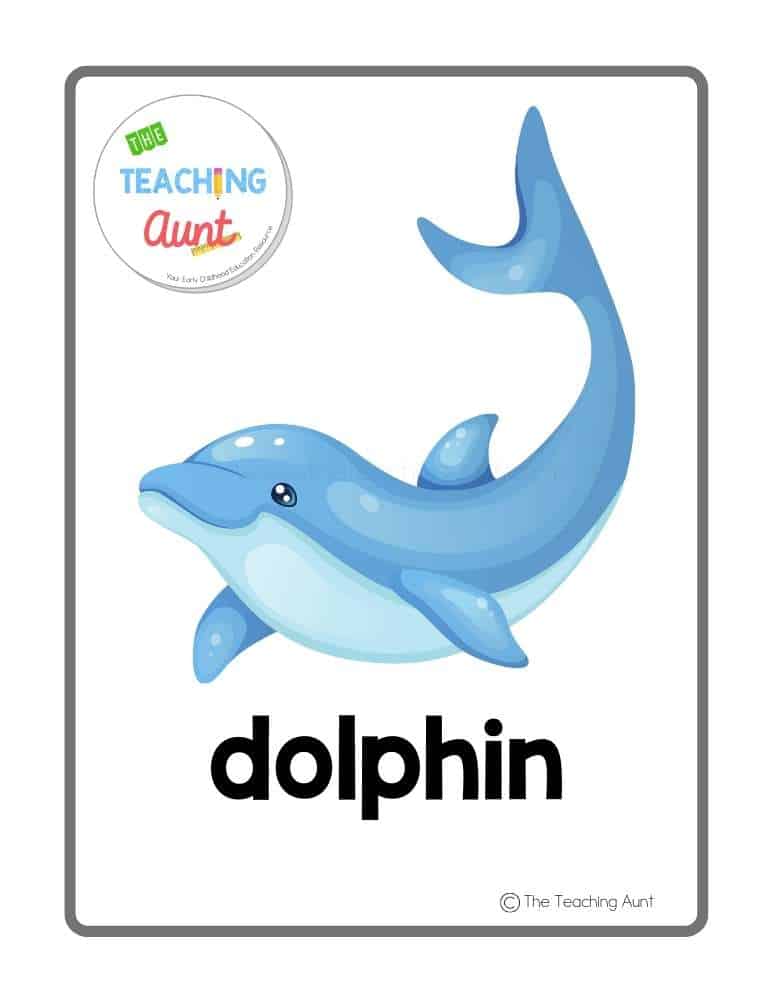 dolphin Sea Animals Flashcards PDF