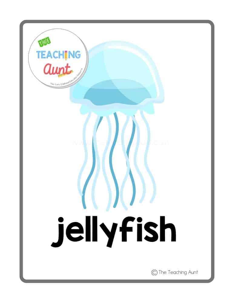 jellyfish Sea Animals Flashcards PDF