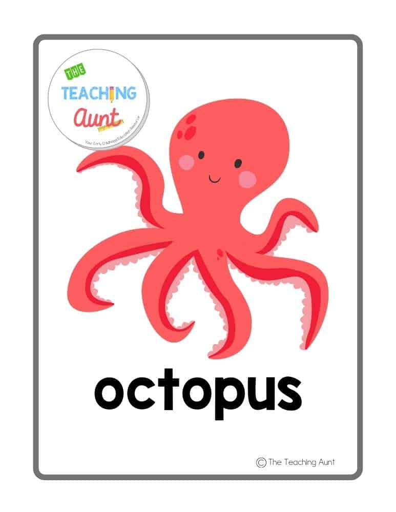 octopus Sea Animals Flashcards PDF