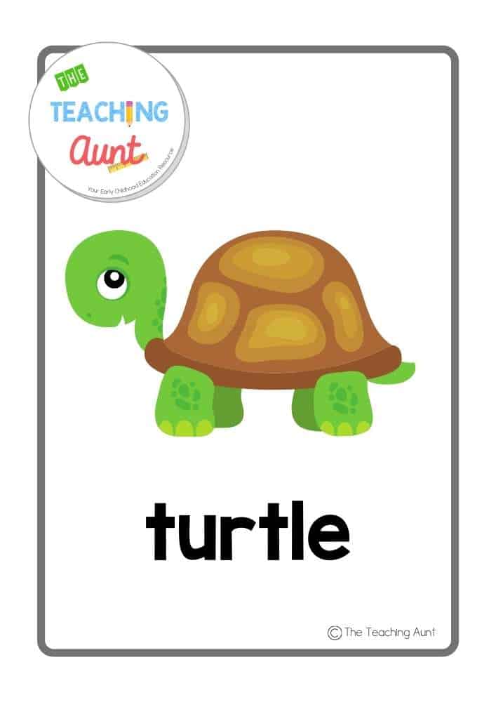 turtle Free Pet Animals Flashcards
