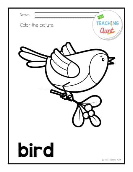 bird Free Pet Animals Coloring Pages