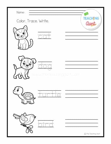 Pet Animals Tracing Worksheets PDF Page 1