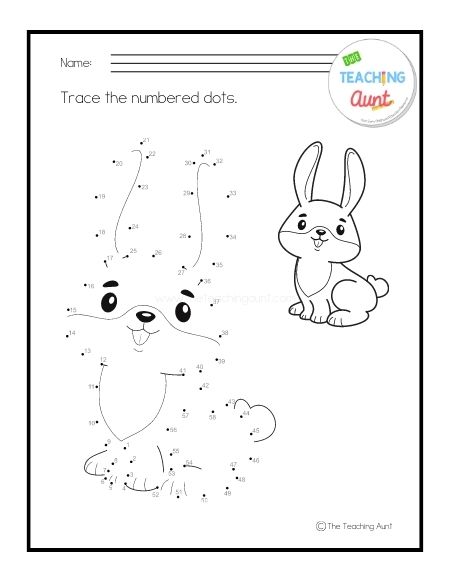 rabbit Pet Animals Trace the Numbered Worksheets PDF