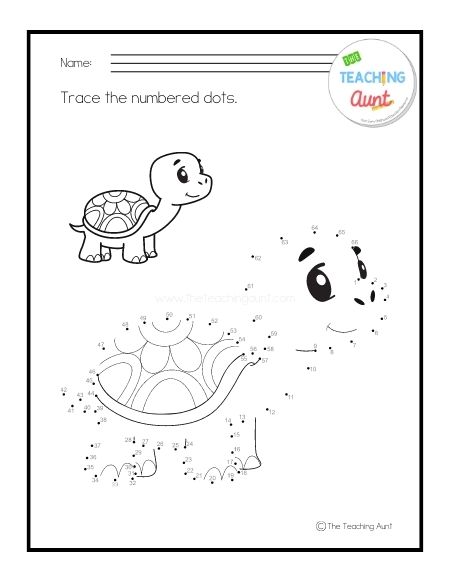 turtle Pet Animals Trace the Numbered Worksheets PDF