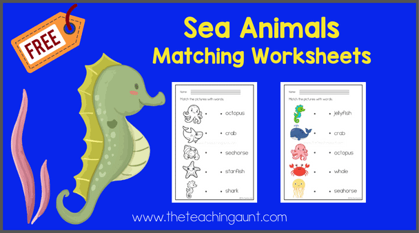 sea animals matching worksheets