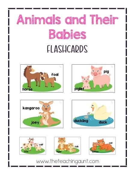 Animals and Their Young Ones Flashcards - The Teaching Aunt