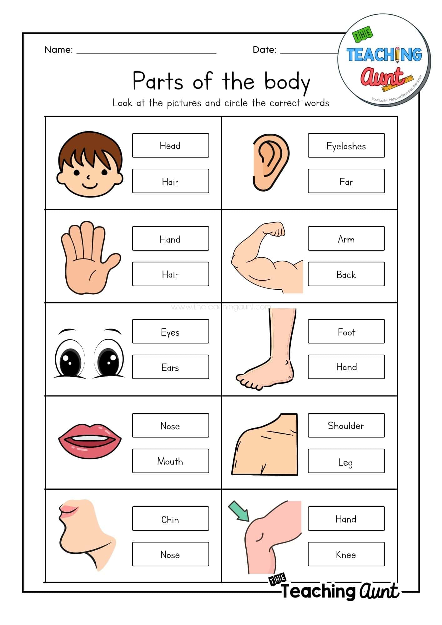 Parts of the Body Identify the correct body parts