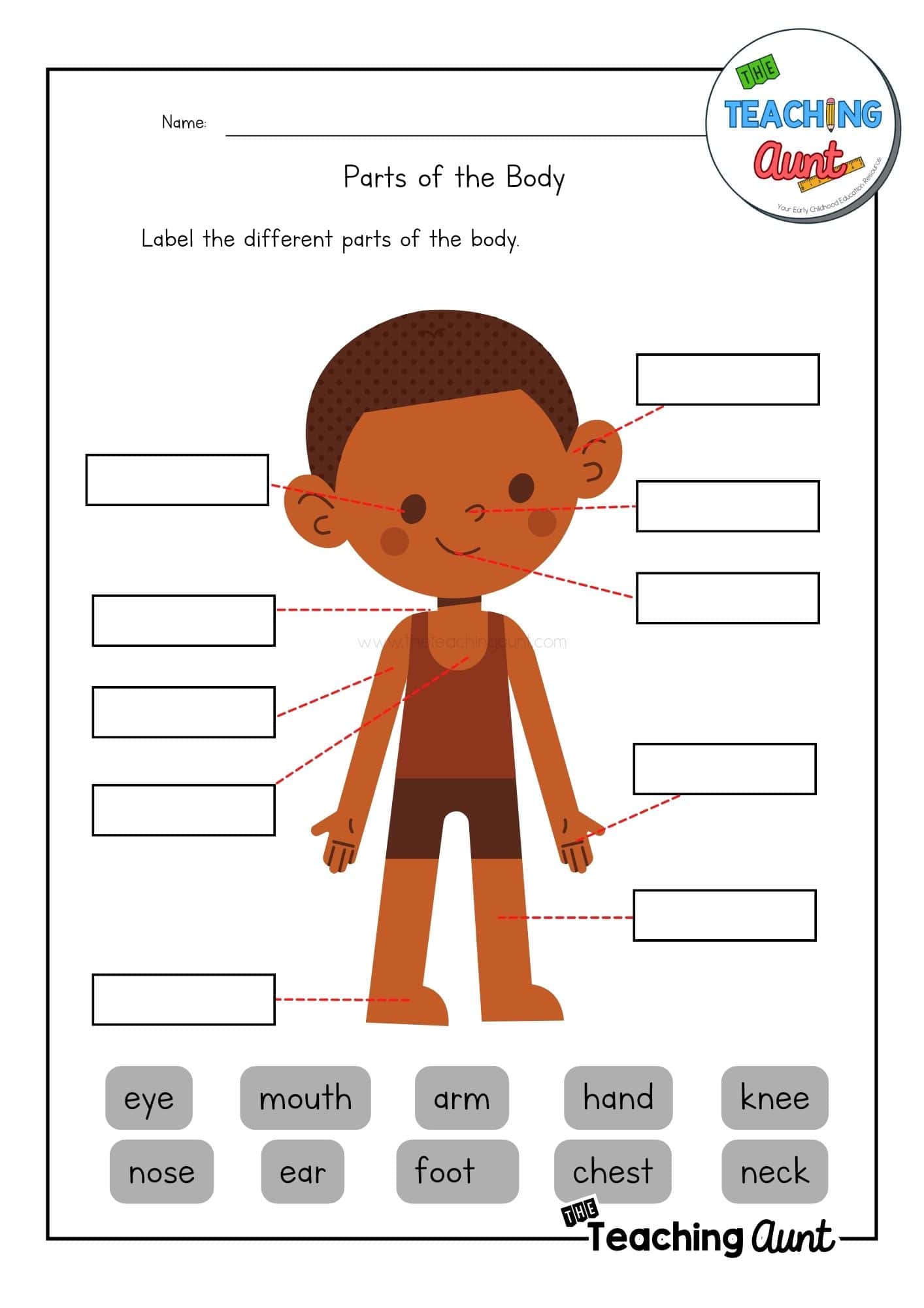 Parts of the Body Worksheet Boy