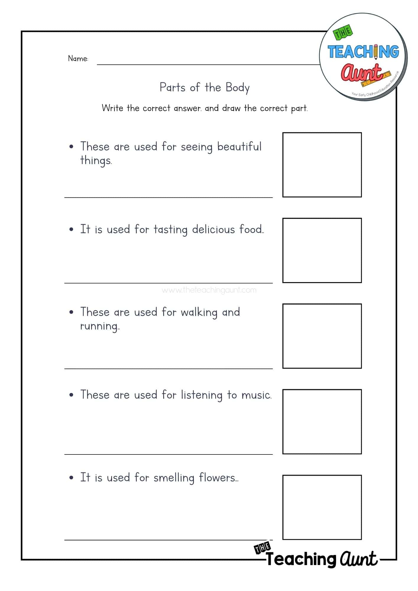 Parts of the body worksheet