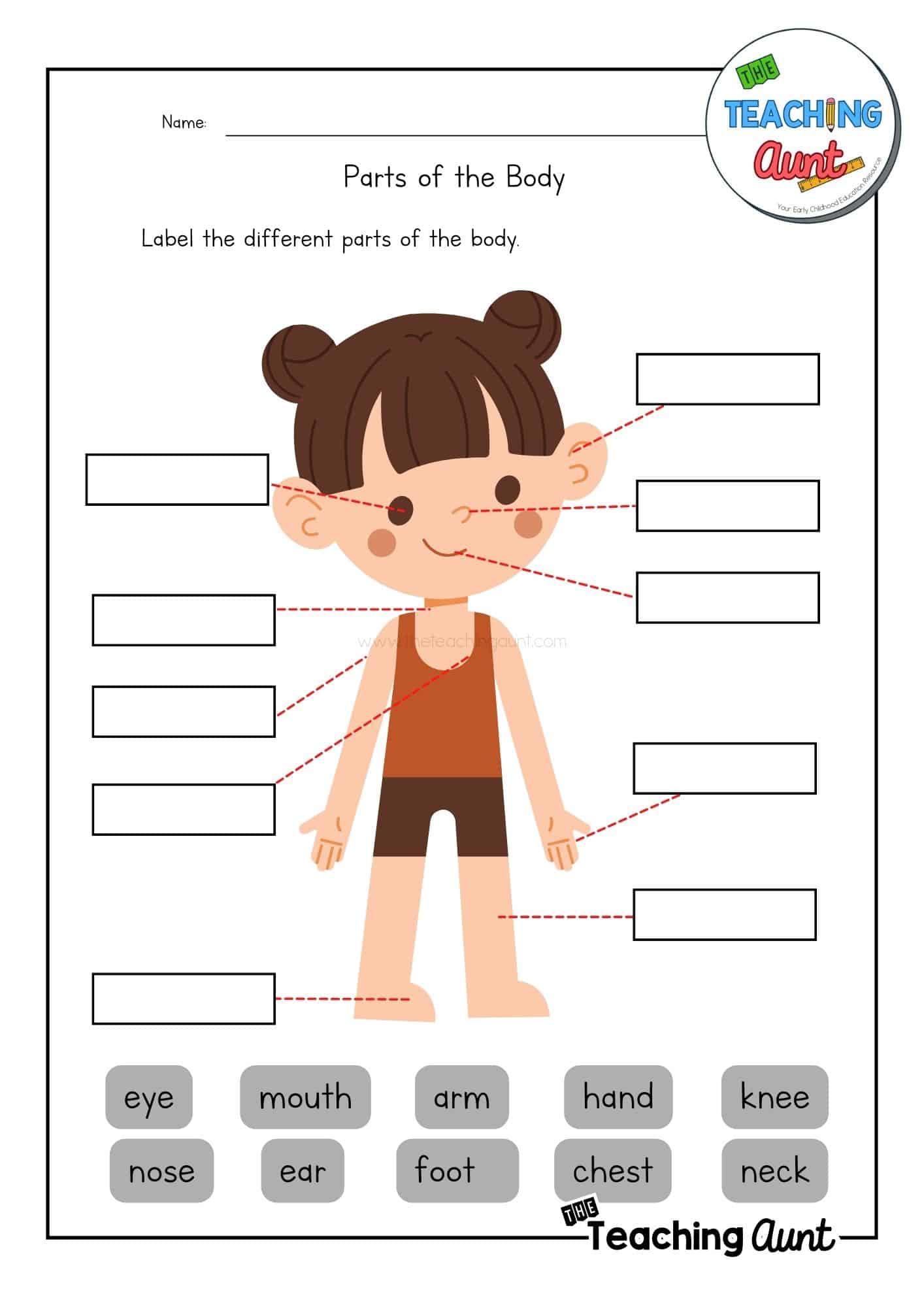 Parts of the Body worksheet Girl